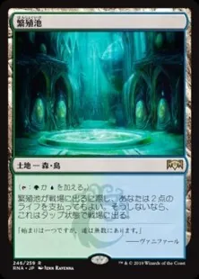 パイオニアメタゲーム解説