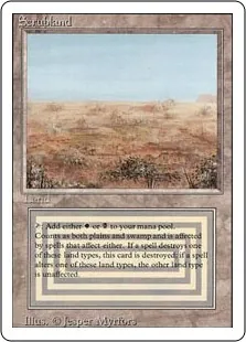 MTG 補充（日本語）　2枚セット　再録禁止 MTG 失せろ 日本語 Foil 4枚セット｜Yahoo!フリマ（旧PayPayフリマ）
