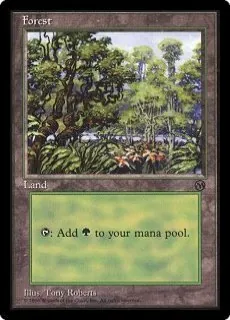 基本土地のススメ