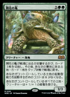 開花の亀