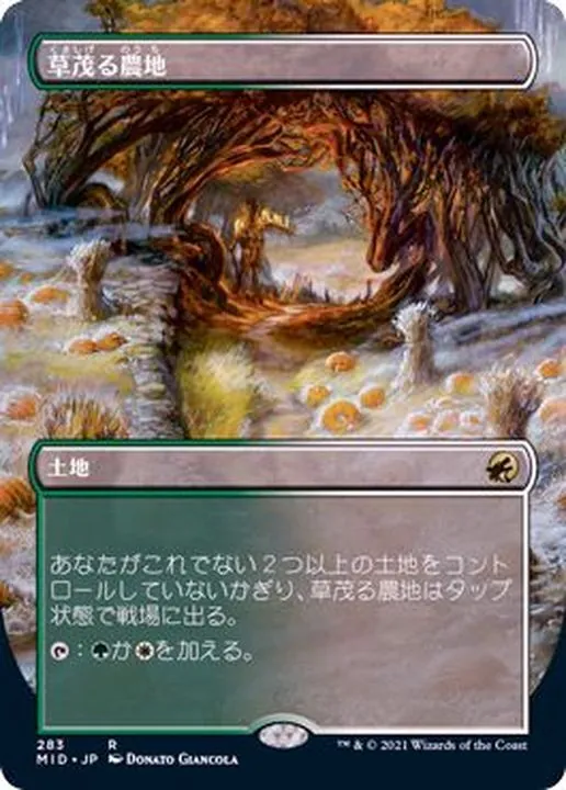 【まとめ売り】#34　ドミナリアの英雄、テフェリー　他　約2.1キロ まとめ売り】#34 ドミナリアの英雄、テフェリー 他 約2.1キロ
