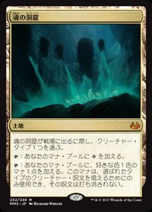 アニマ　mtg(最終値下げ) アニマ mtg(最終値下げ) - メルカリ