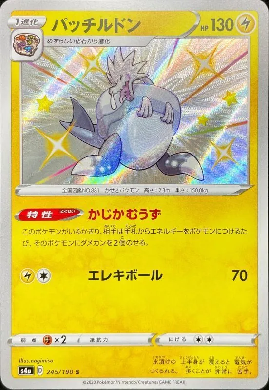 パッチルドン 245/190