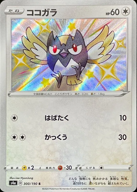 ココガラ 300/190