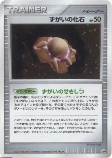 ずがいの化石(キラ) -