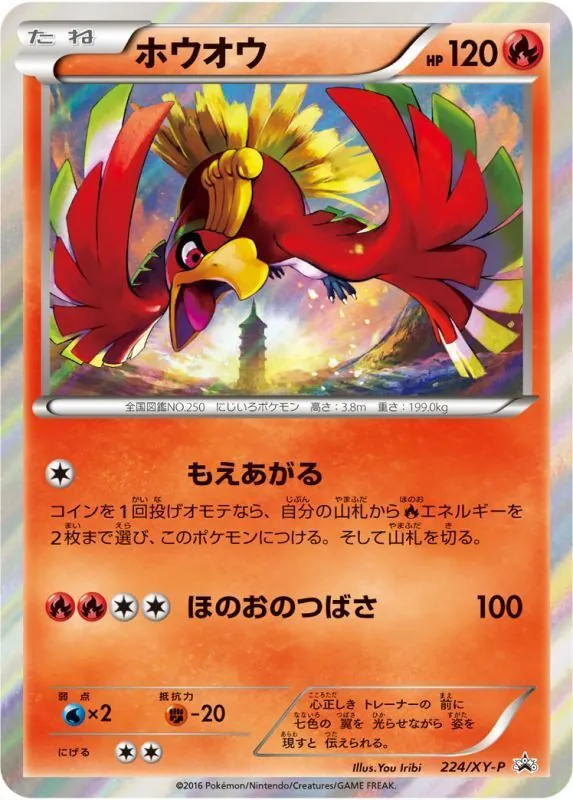 ホウオウ 224/XY-P