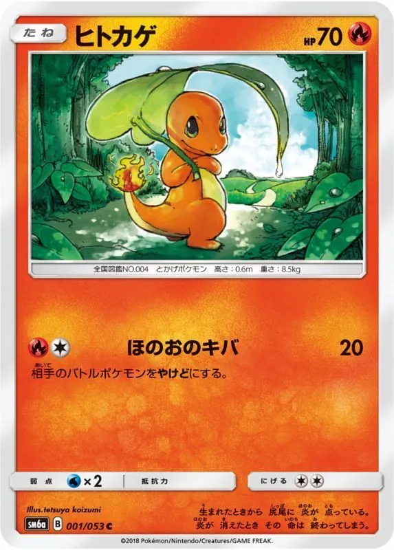 ヒトカゲ 001/053