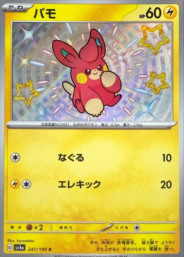 パモ 247/190