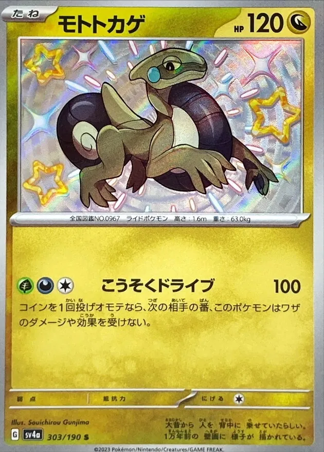 モトトカゲ 303/190