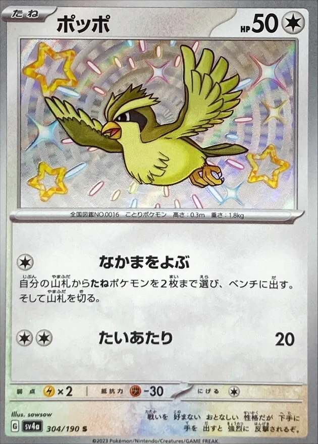 ポッポ 304/190
