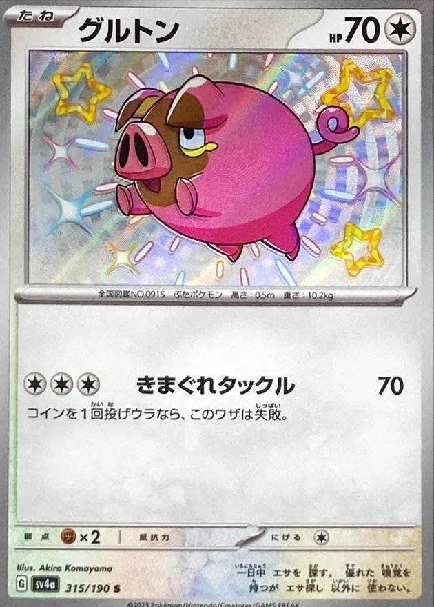 グルトン 315/190