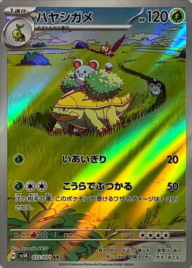 ハヤシガメ 072/071