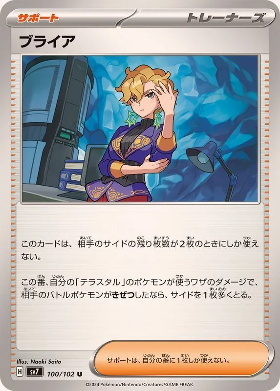 ブライア 100/102
