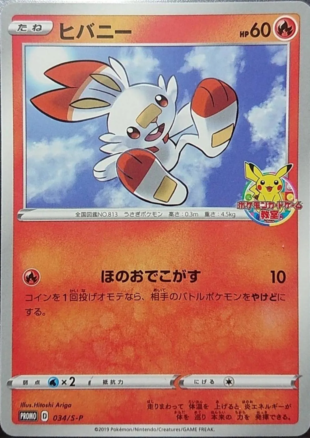 ヒバニー 034/S-P