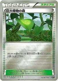 巨大植物の森
