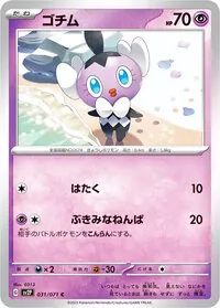 ゴチム