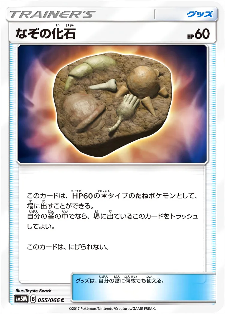 化石 C-31 化石 C-31 【公式通販】