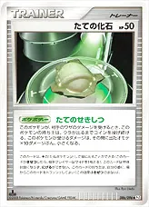 たての化石
