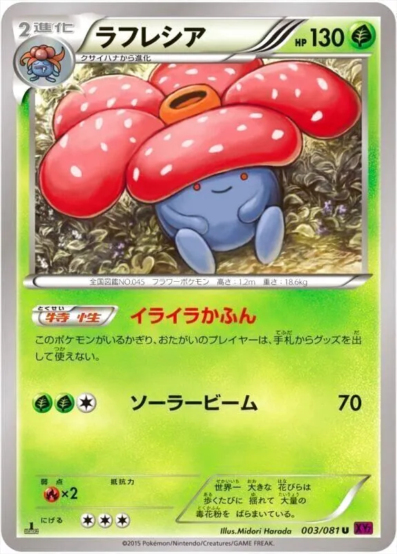 ハイクラスパック「THE BEST OF XY」