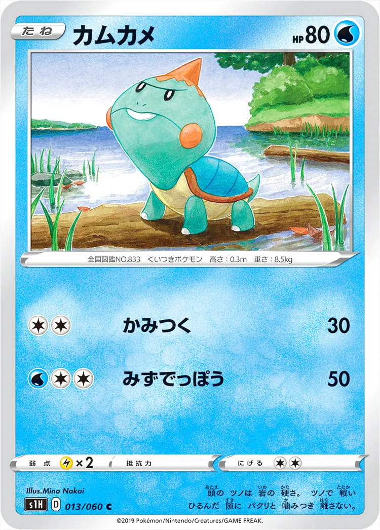 カムカメ