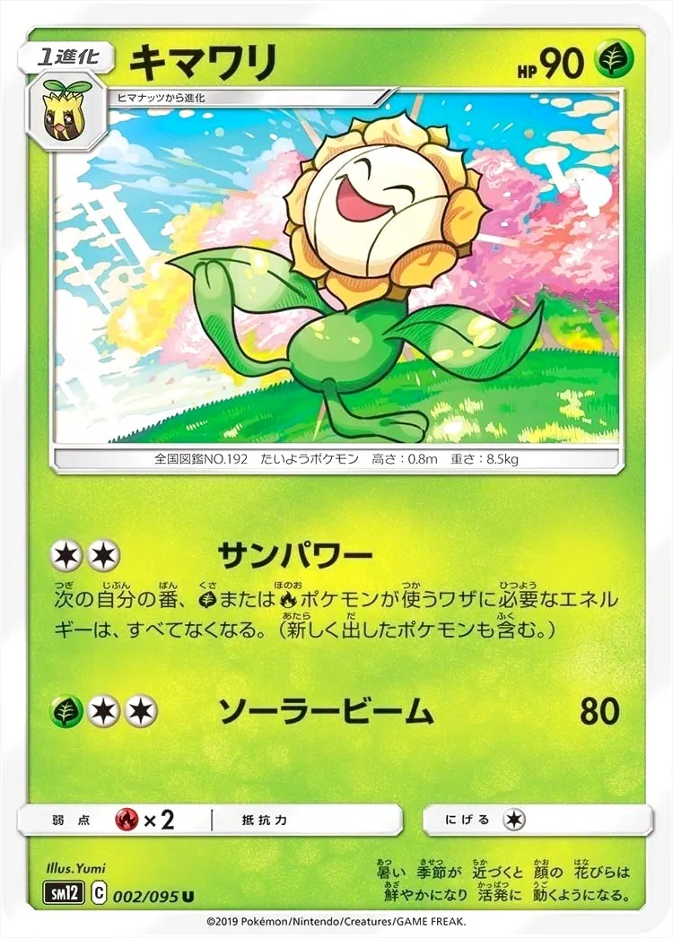 キマワリ