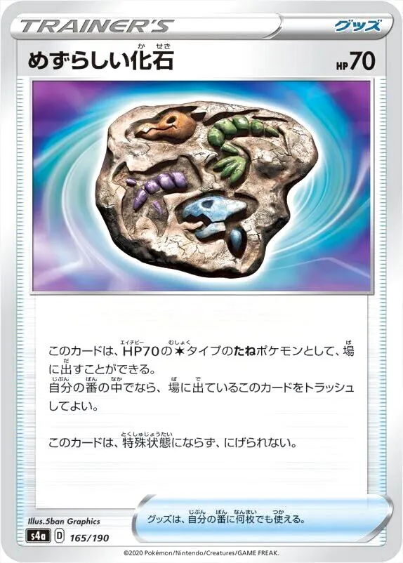 めずらしい化石