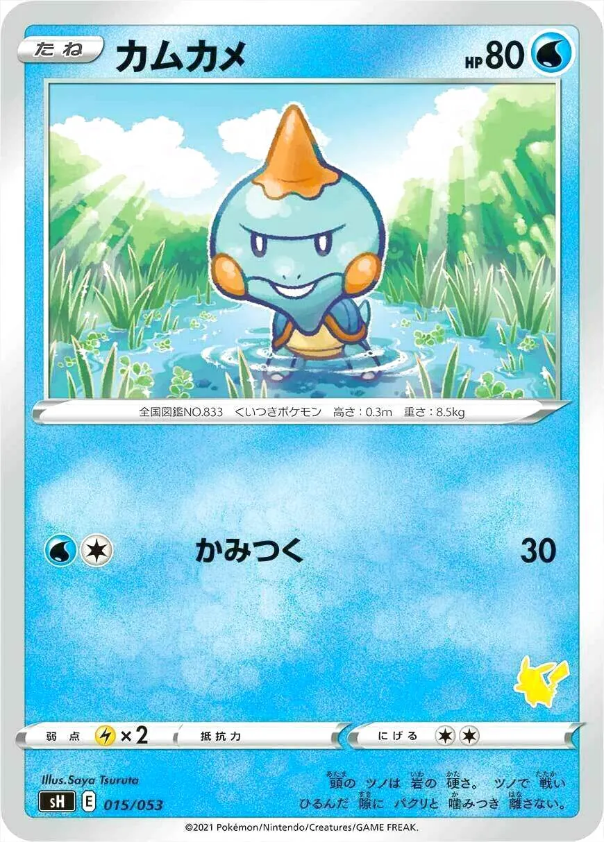 カムカメ