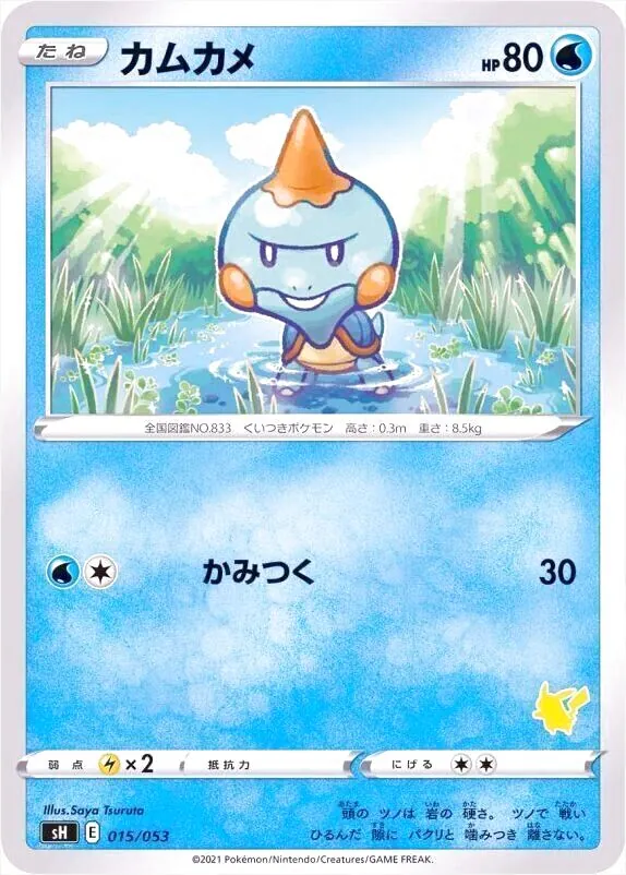 カムカメ