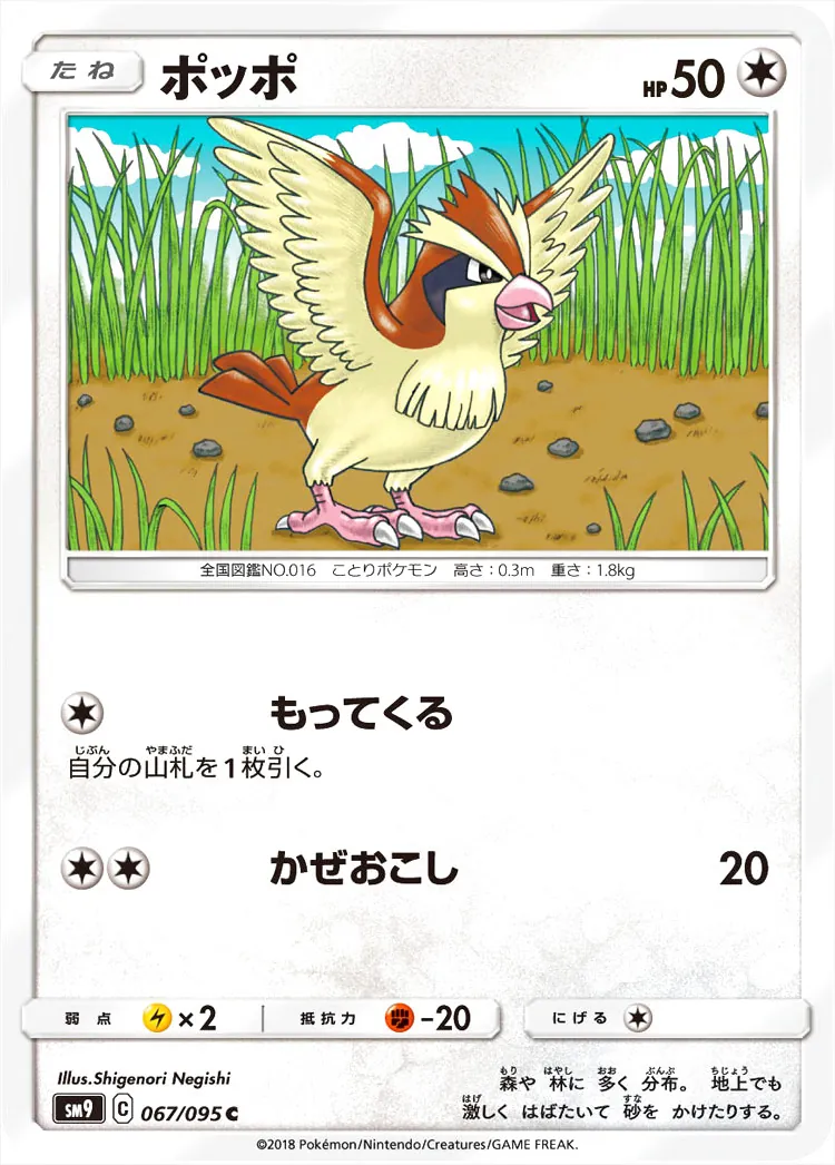 ポッポ