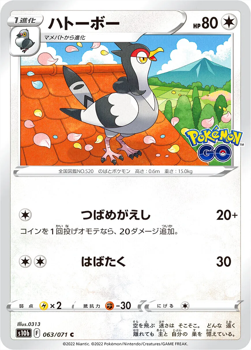 強化拡張パック 「Pokemon GO」