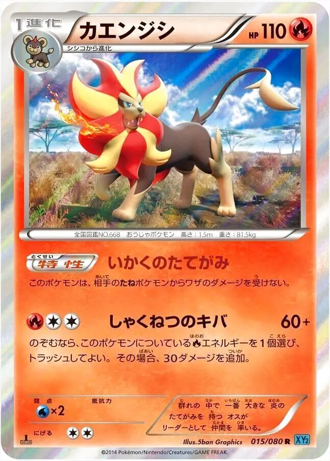 ハイクラスパック「THE BEST OF XY」