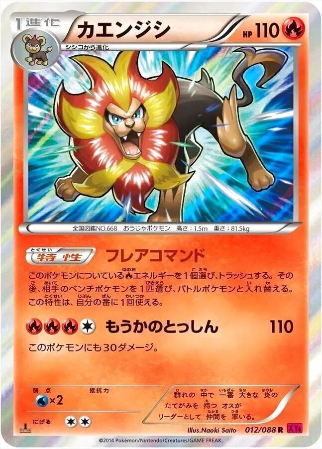 ハイクラスパック「THE BEST OF XY」