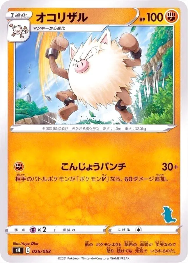 ポケモンカードゲーム ソード＆シールド ファミリーポケモンカードゲーム