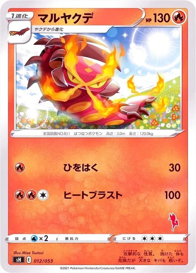 ポケモンカードゲーム ソード＆シールド ファミリーポケモンカードゲーム