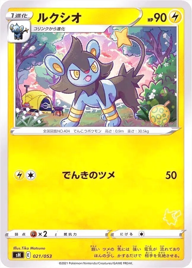 ポケモンカードゲーム ソード＆シールド ファミリーポケモンカードゲーム