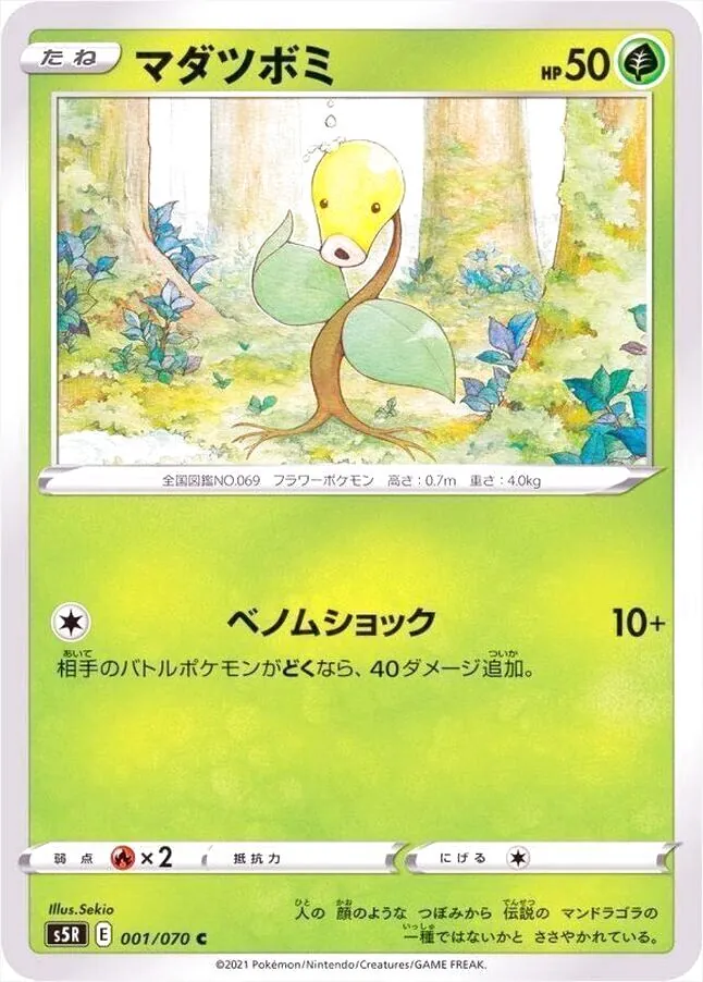 マダツボミ