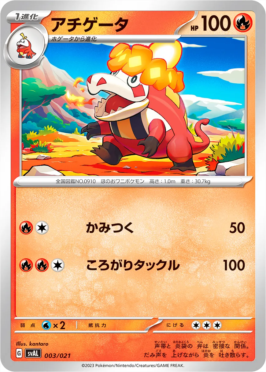 アチゲータ