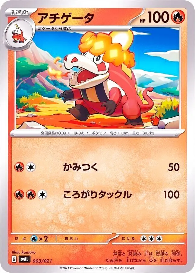 スターターセットex ホゲータ&デンリュウex