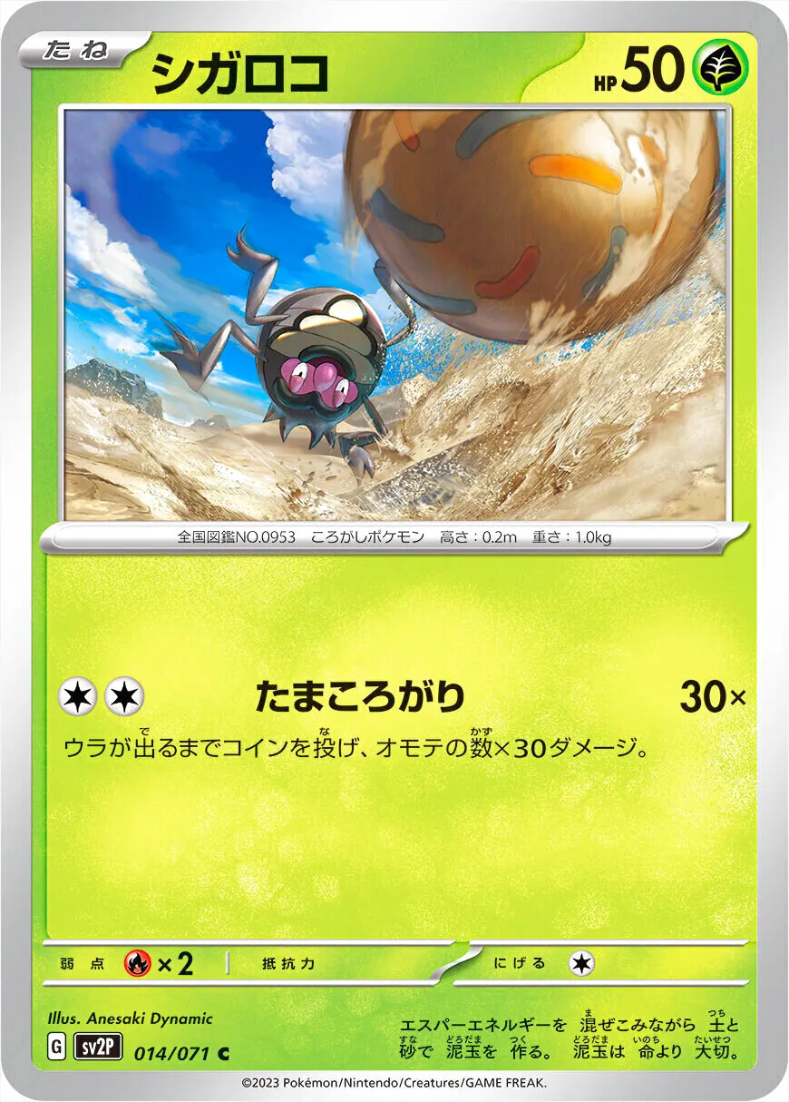 シガロコ