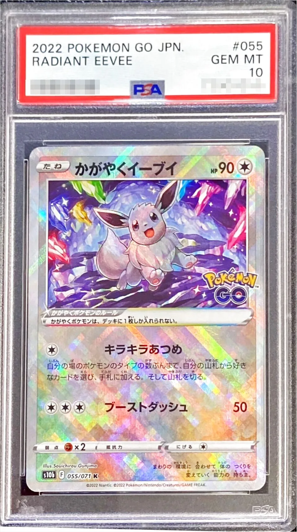 かがやくイーブイ