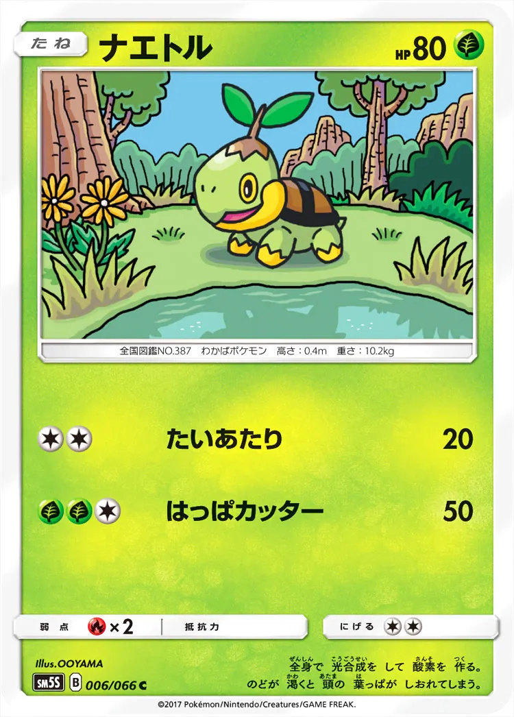 ナエトル