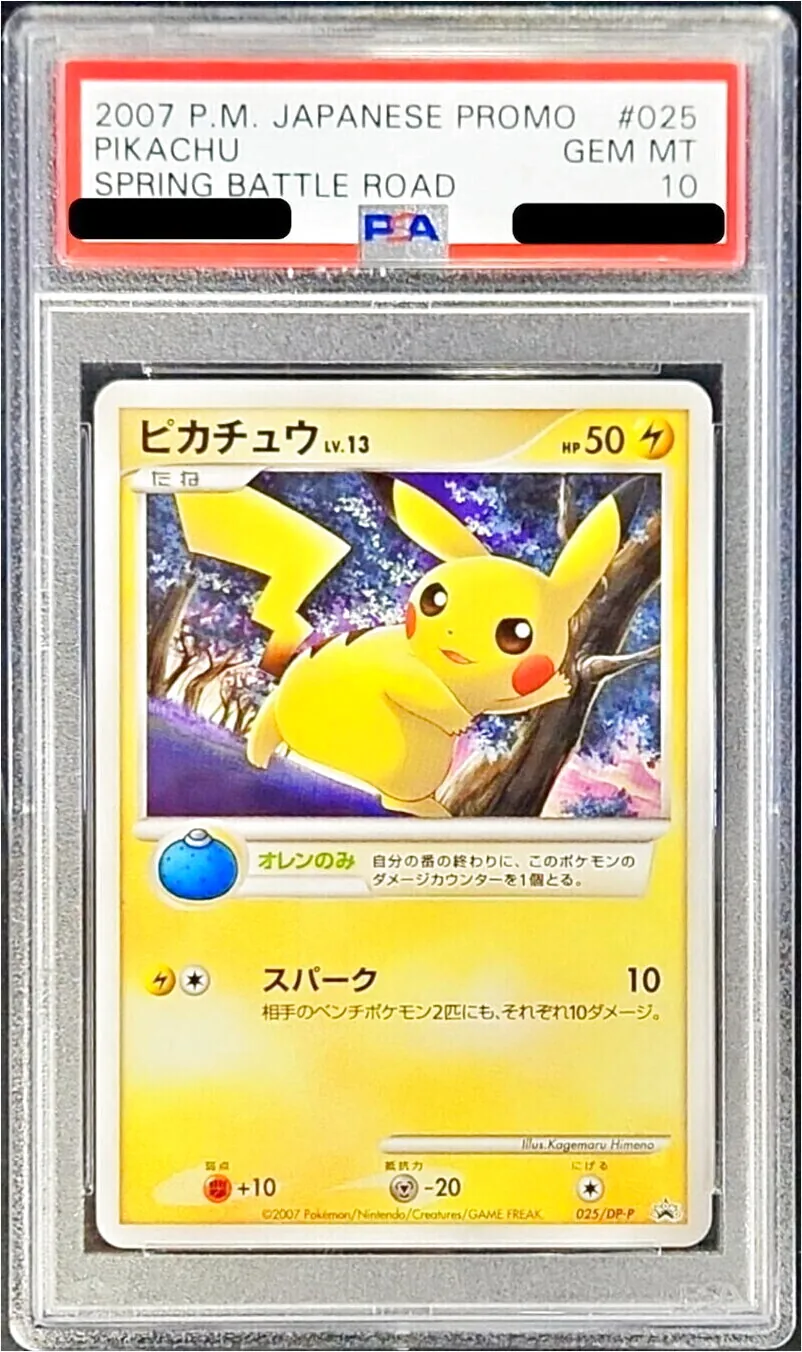 ピカチュウLV.13