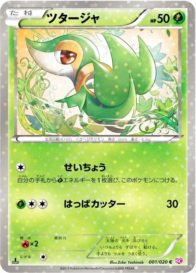 ツタージャ