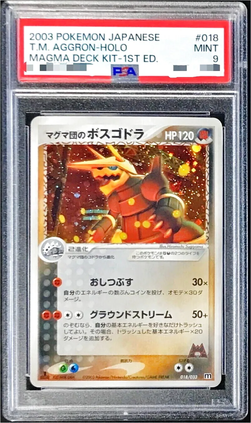 マグマ団のボスゴドラ