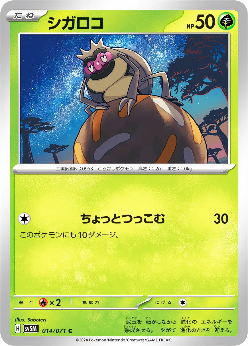 シガロコ