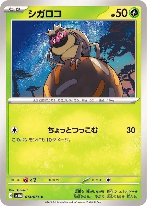 シガロコ