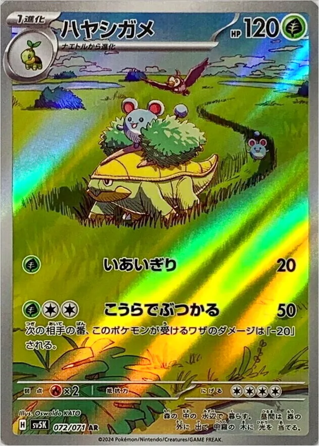 ハヤシガメ