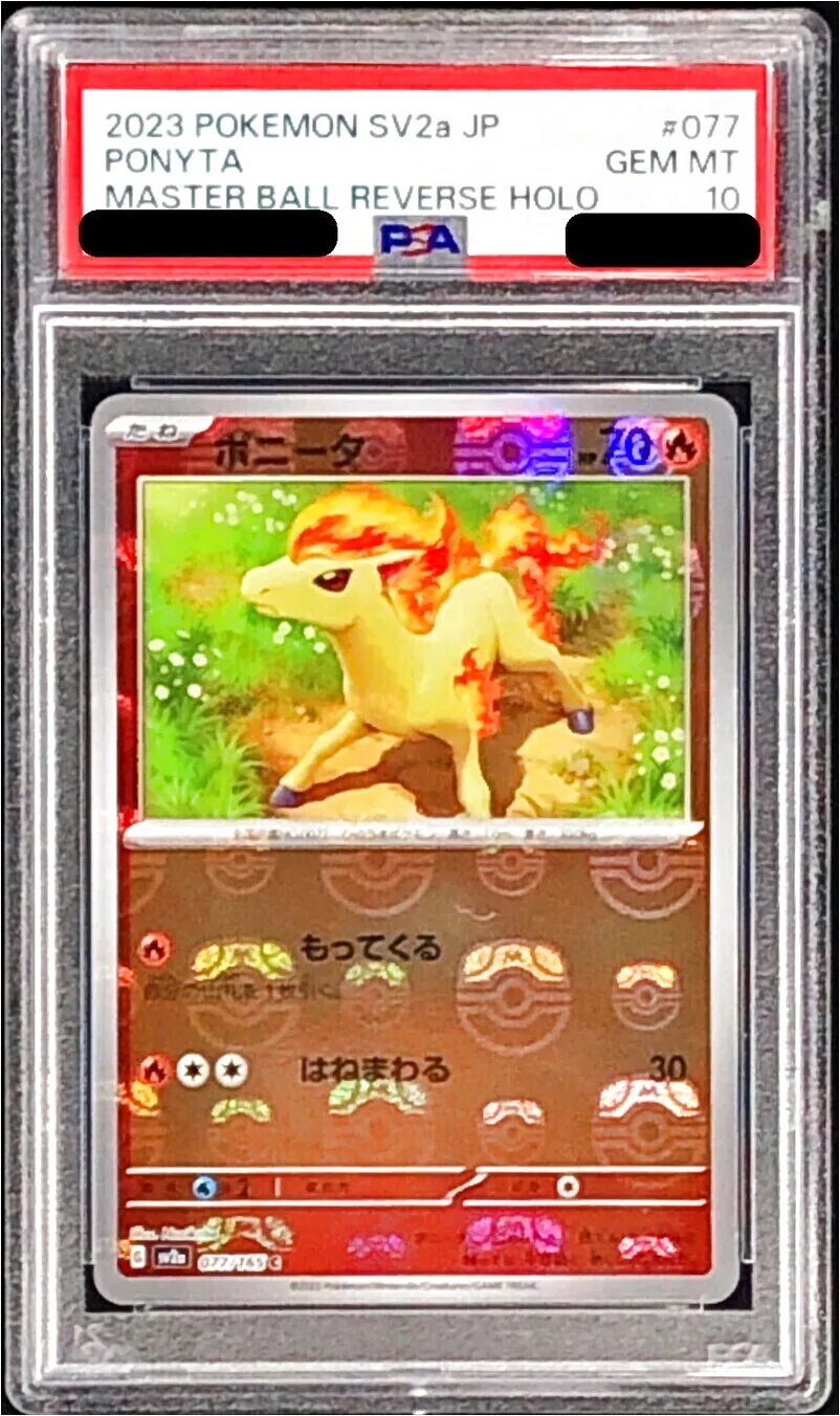 ポニータ
