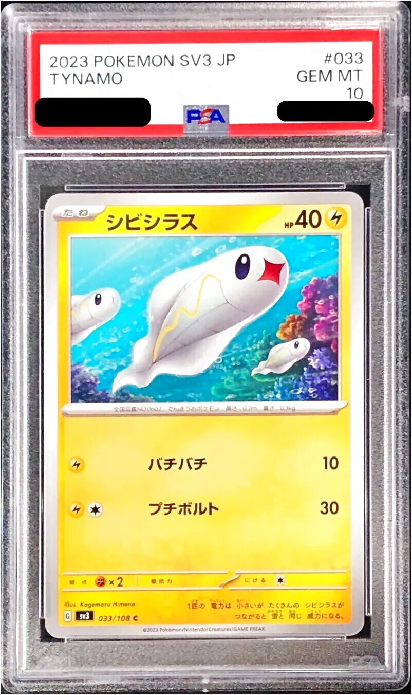 シビシラス