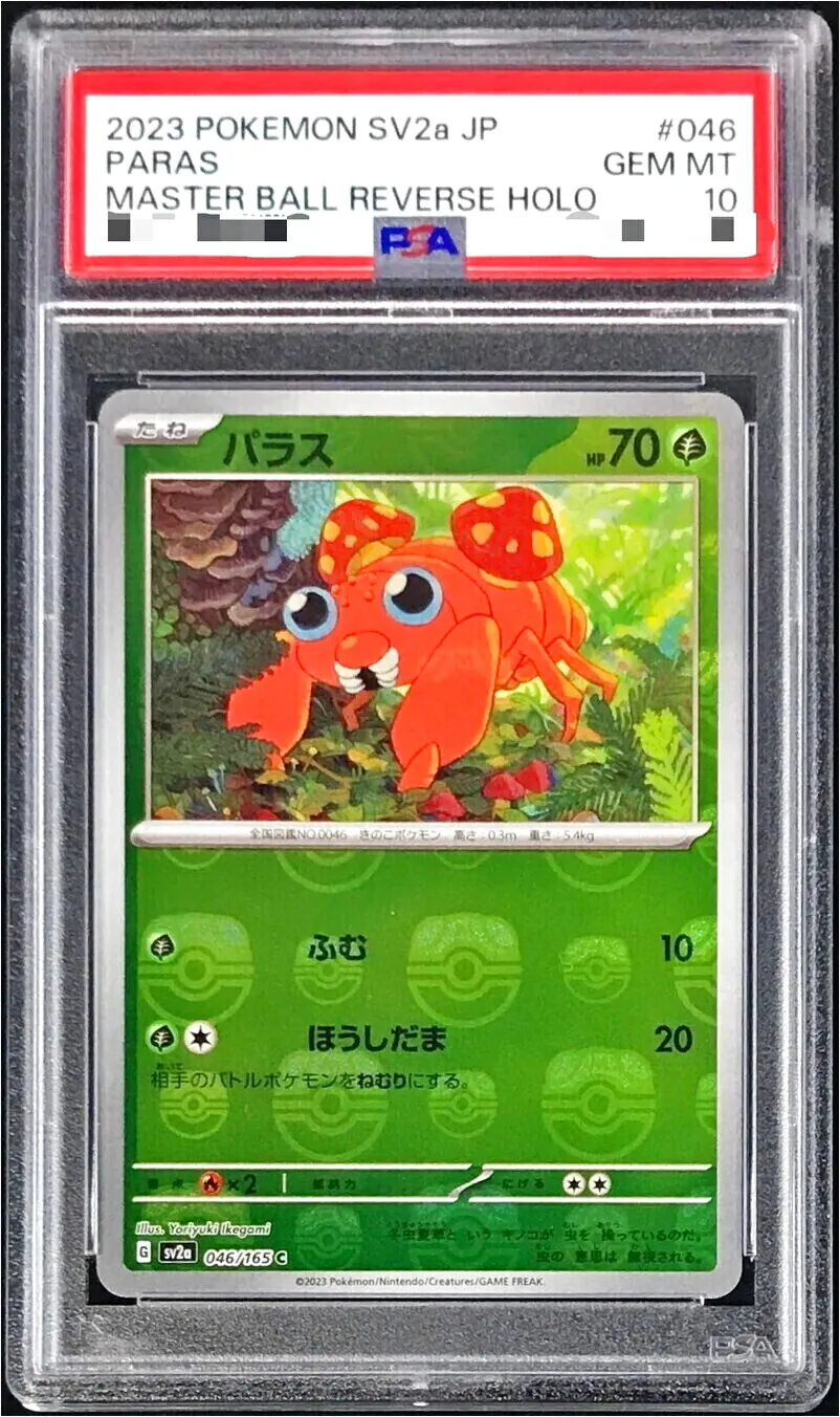 パラス